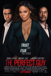 دانلود فیلم The Perfect Guy 2015