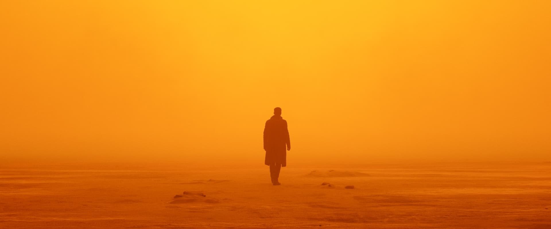 دانلود فیلم Blade Runner 2049 2017 (بلید رانر ۲۰۴۹ 2017) بدون سانسور با زیرنویس فارسی