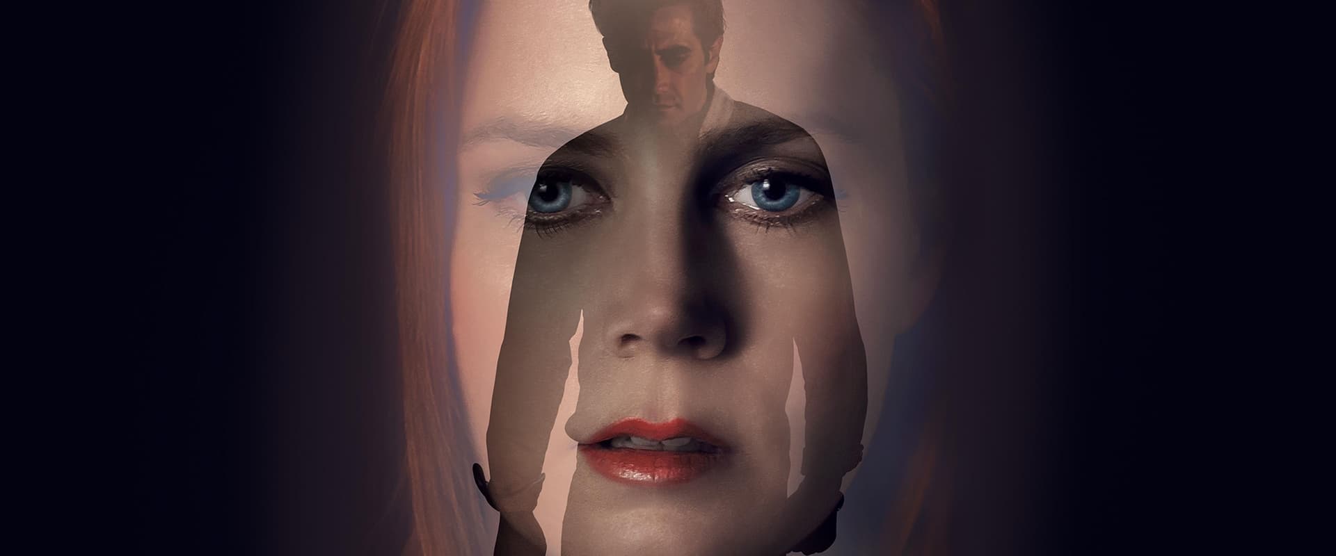 دانلود فیلم Nocturnal Animals 2016 (حیوانات شبگرد 2016) بدون سانسور با زیرنویس فارسی