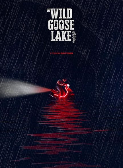 دانلود فیلم The Wild Goose Lake 2019