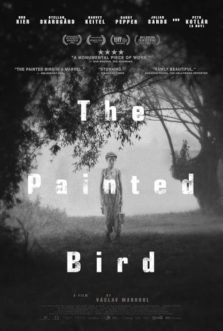 دانلود فیلم The Painted Bird 2019