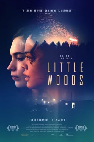 دانلود فیلم Little Woods 2018