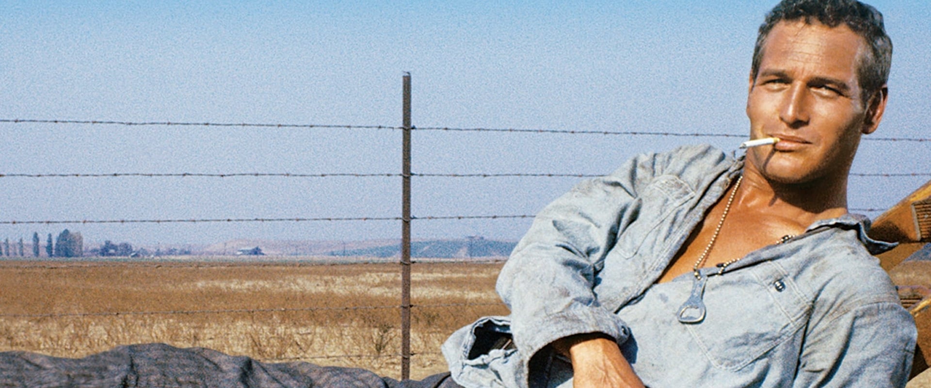 دانلود فیلم Cool Hand Luke 1967 (لوک خوش‌دست 1967) بدون سانسور با زیرنویس فارسی