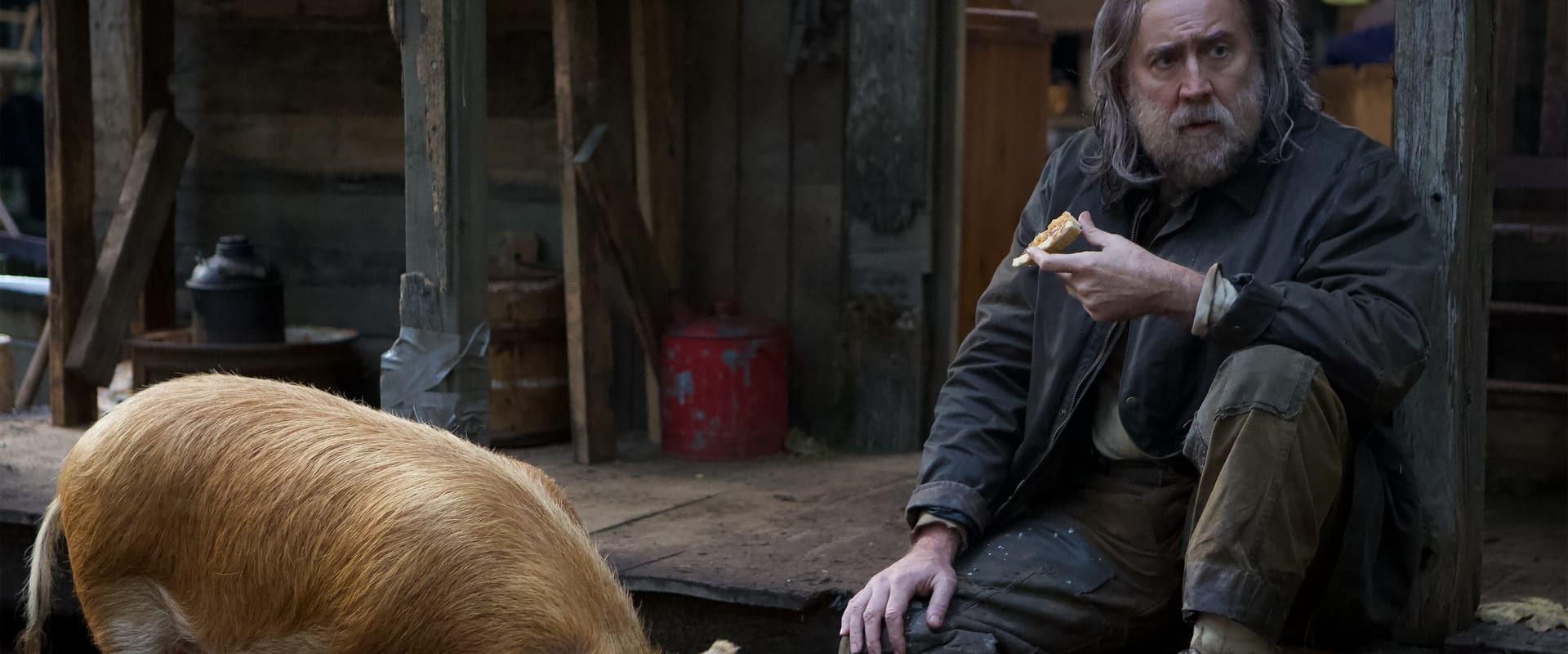 دانلود فیلم Pig 2021 (خوک 2021) بدون سانسور با زیرنویس فارسی