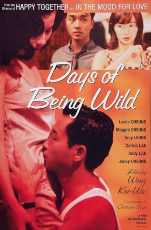 دانلود فیلم Days of Being Wild 1990