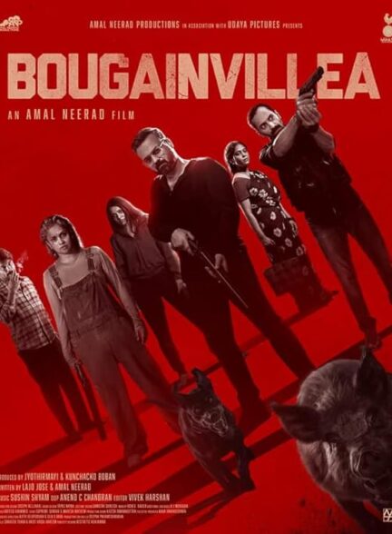 دانلود فیلم Bougainvillea 2024