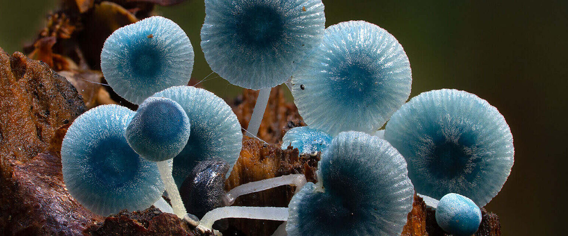 دانلود مستند Follow the Rain 2024 (باران را دنبال کن 2024) بدون سانسور با زیرنویس فارسی