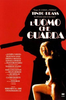 دانلود فیلم The Voyeur 1994