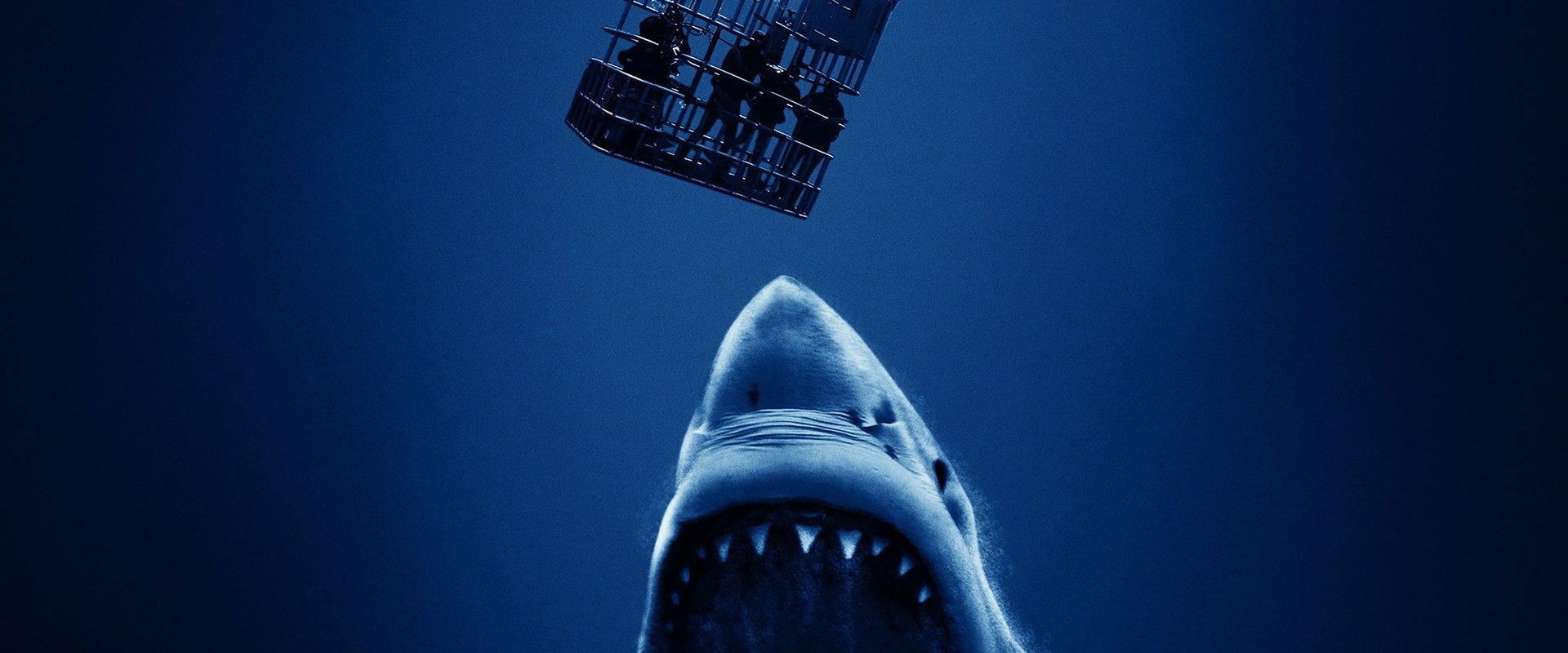 دانلود فیلم Open Water 3: Cage Dive 2017 (آب های آزاد 3 2017) بدون سانسور با زیرنویس فارسی