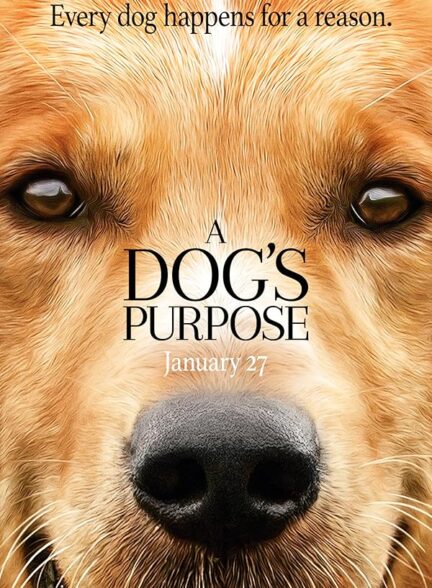 دانلود فیلم A Dog’s Purpose 2017