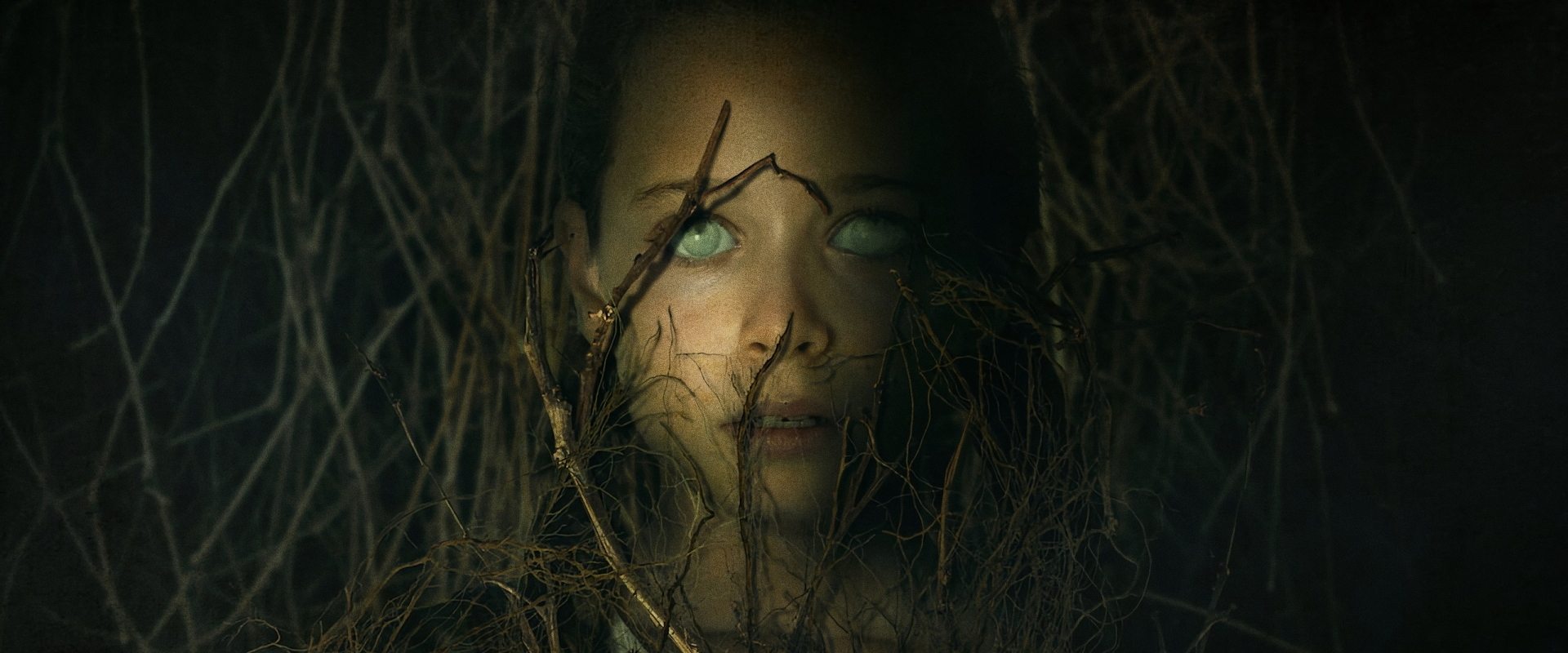 دانلود فیلم The Binding 2020 (انقیاد  2020) بدون سانسور با زیرنویس فارسی