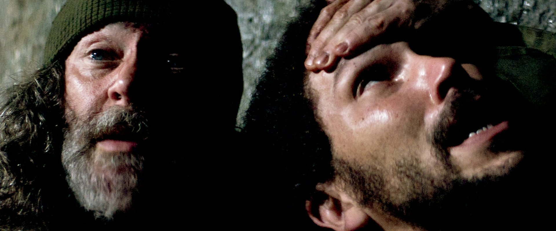 دانلود فیلم In the Earth 2021 (در زمین 2021) بدون سانسور با زیرنویس فارسی