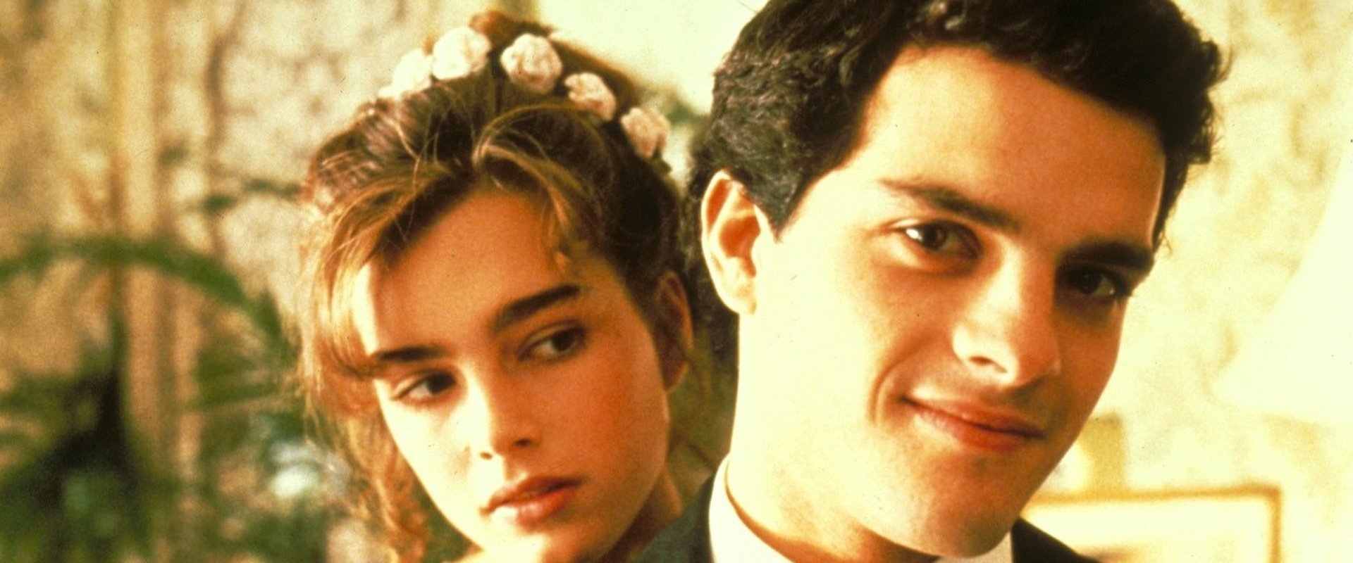 دانلود فیلم Endless Love 1981 (عشق بی‌پایان 1981) بدون سانسور با زیرنویس فارسی