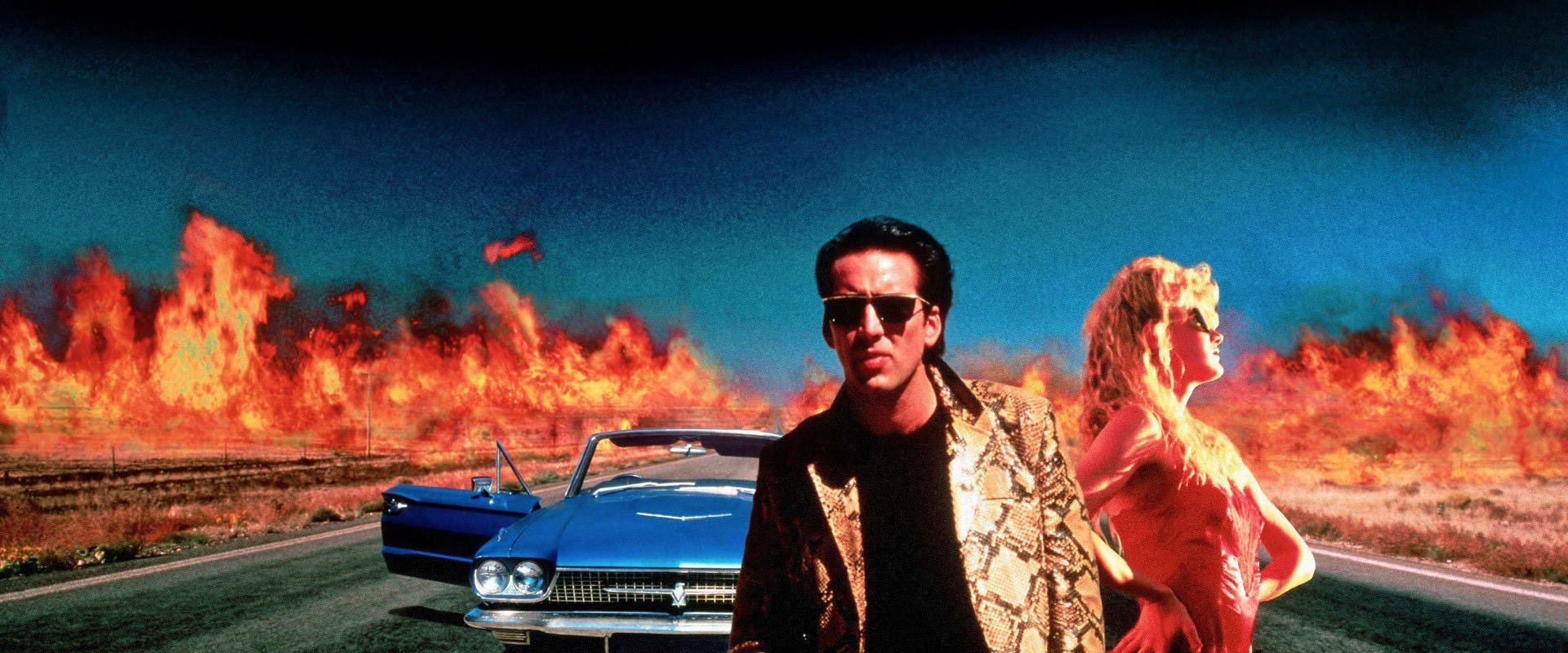 دانلود فیلم Wild at Heart 1990 (از ته دل وحشی 1990) بدون سانسور با زیرنویس فارسی