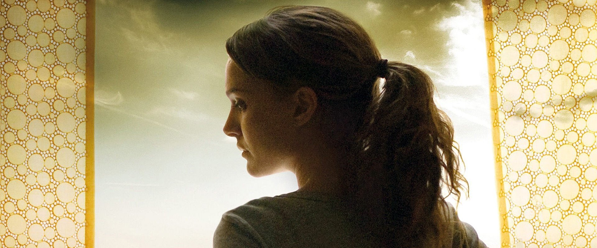 دانلود فیلم The Other Woman 2009 (زن دیگر 2009) بدون سانسور با زیرنویس فارسی