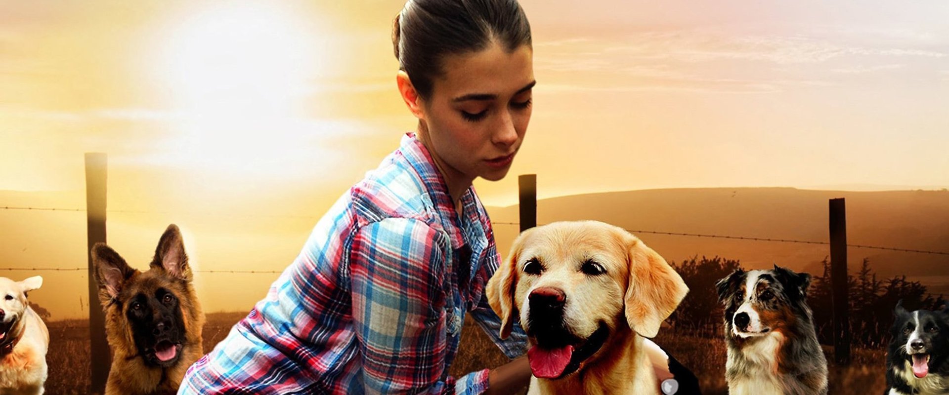 دانلود فیلم The Dog Lover 2016 (عاشق سگ 2016) بدون سانسور با زیرنویس فارسی