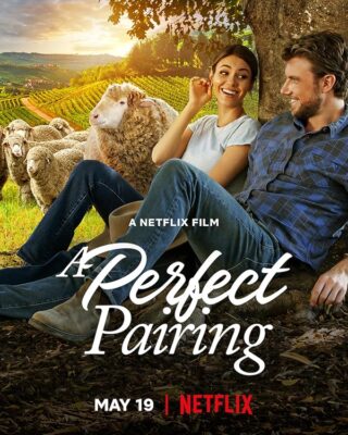 دانلود فیلم A Perfect Pairing 2022