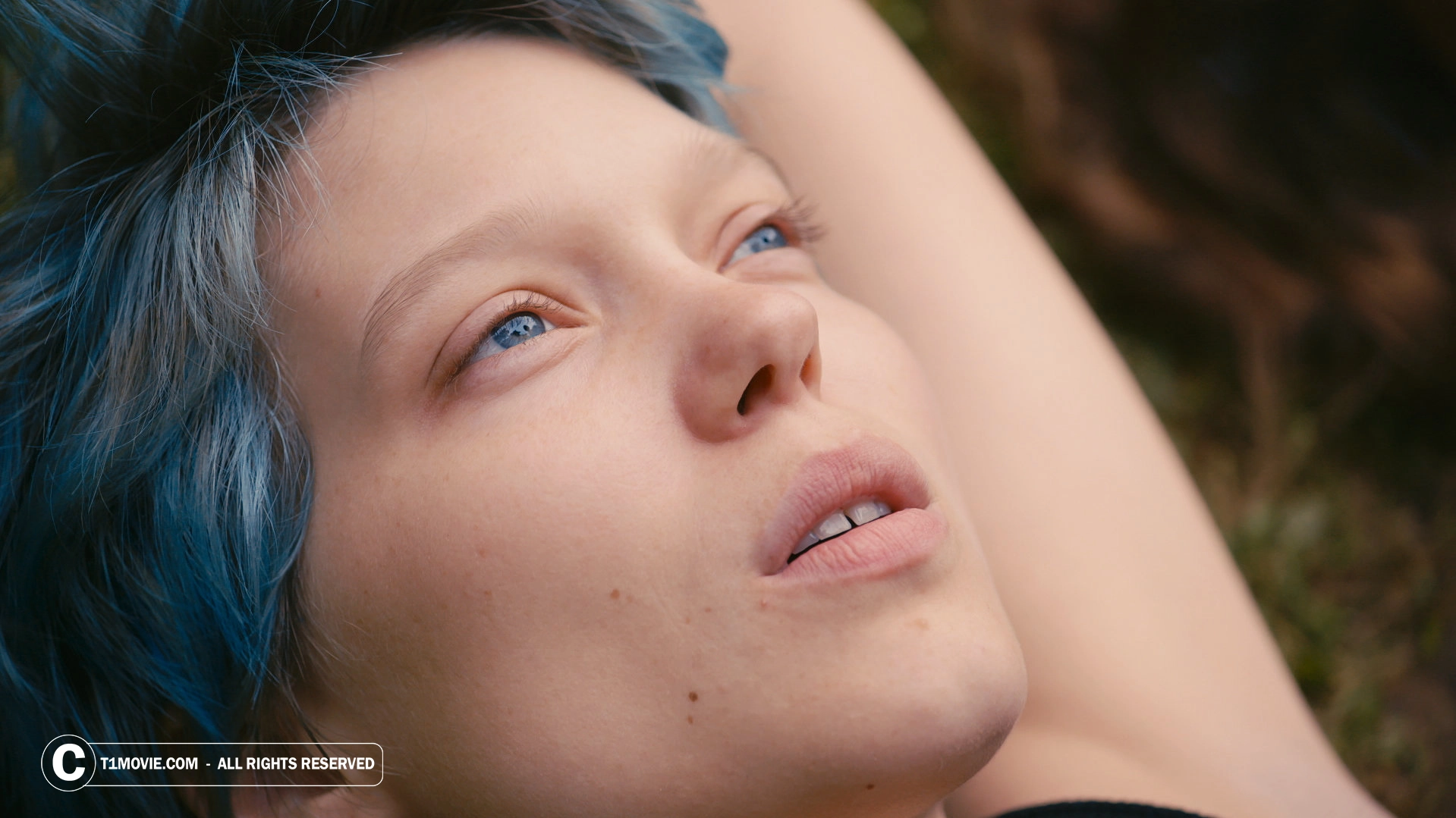 تصویری از فیلم Blue Is the Warmest Colour 2013
