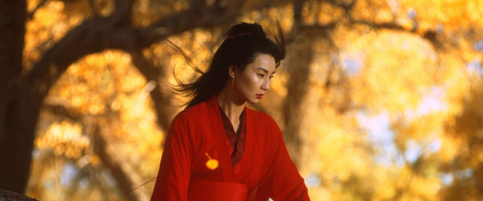 دانلود فیلم Hero 2002 (قهرمان 2002) بدون سانسور با زیرنویس فارسی