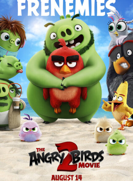 دانلود انیمیشن The Angry Birds Movie 2 2019