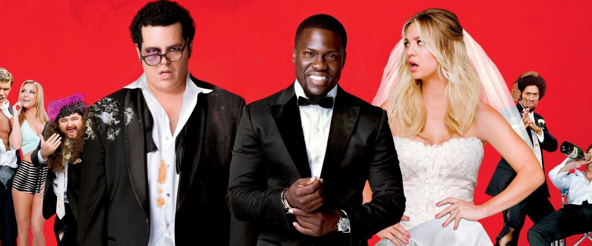 دانلود فیلم The Wedding Ringer 2015 (سخنران عروسی 2015) بدون سانسور با زیرنویس فارسی
