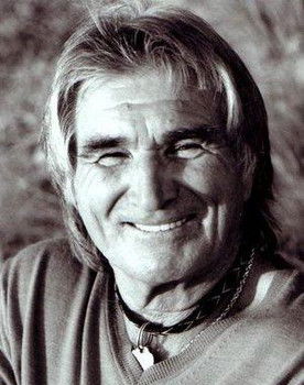 Vojislav Govedarica