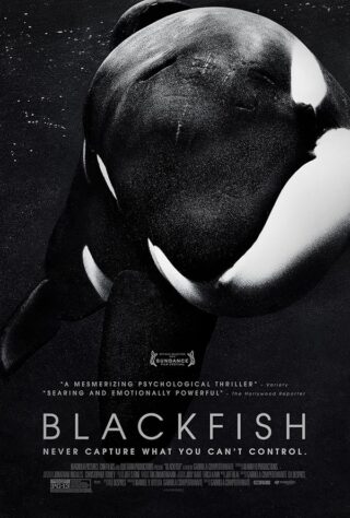 دانلود مستند Blackfish 2013 دانلود مستند Blackfish 2013 (ماهیسیاه 2013) بدون سانسور با زیرنویس فارسی