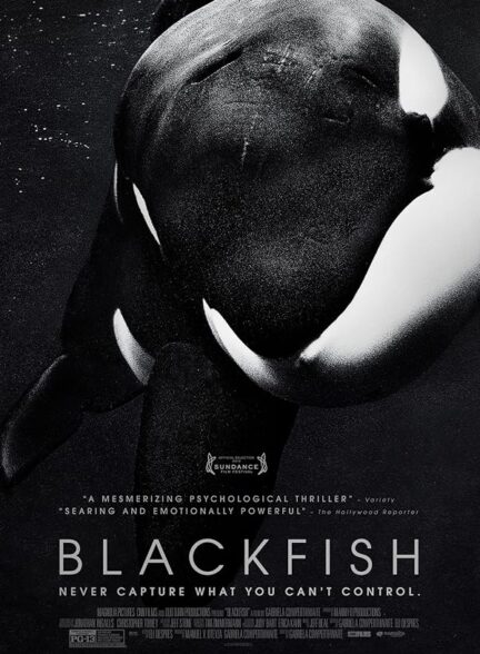 دانلود مستند Blackfish 2013